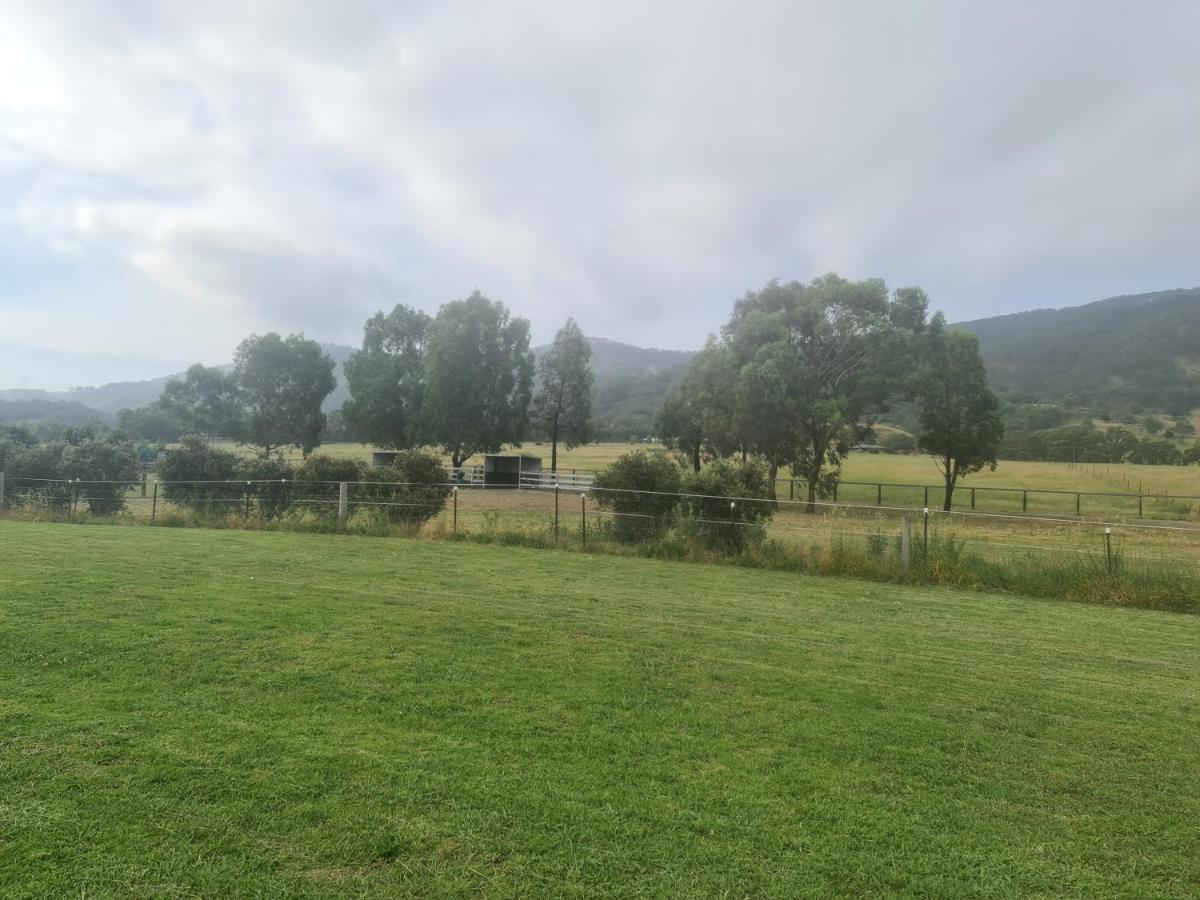 Murrurundi Valley View Motel المظهر الخارجي الصورة