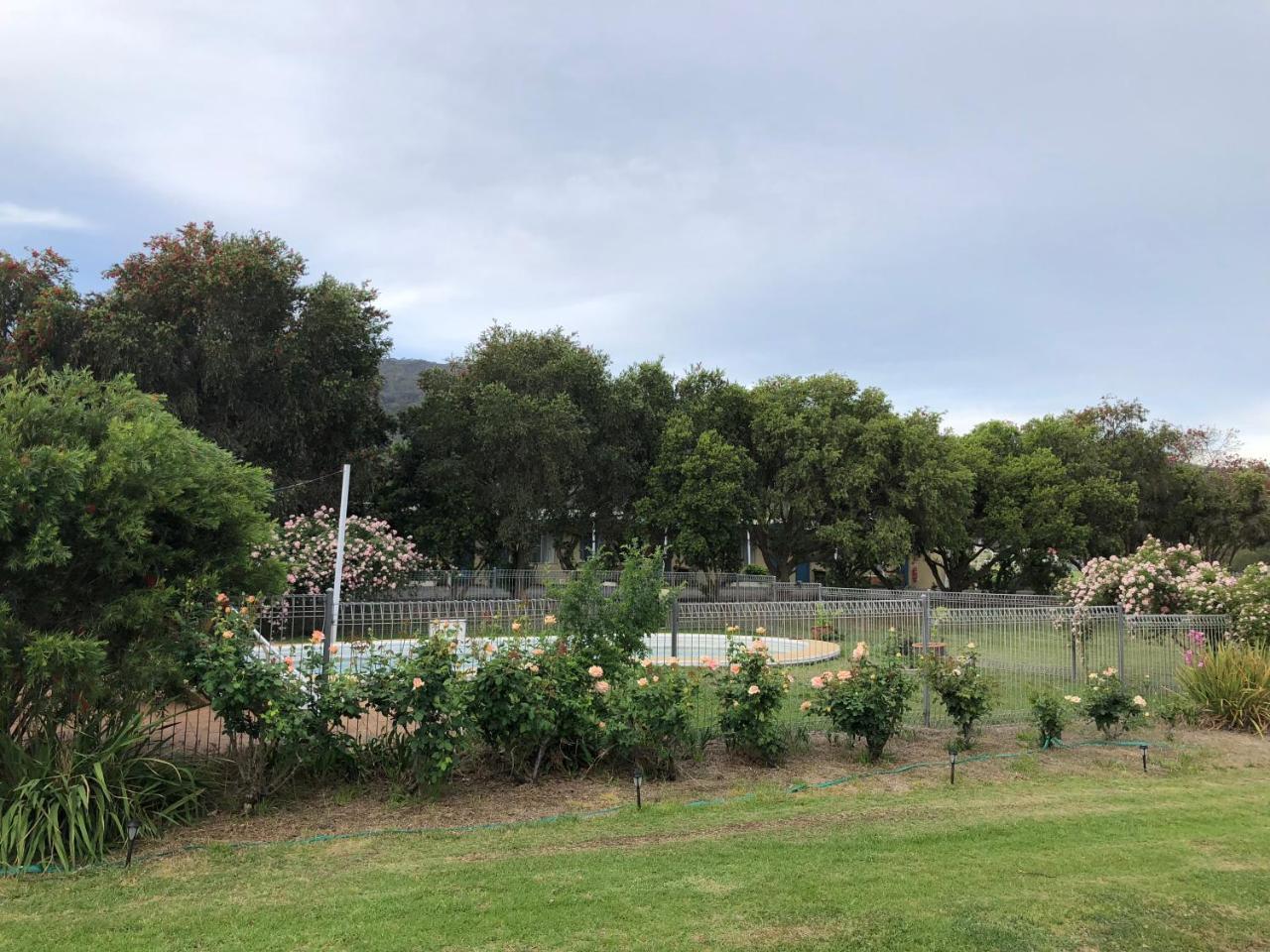 Murrurundi Valley View Motel المظهر الخارجي الصورة