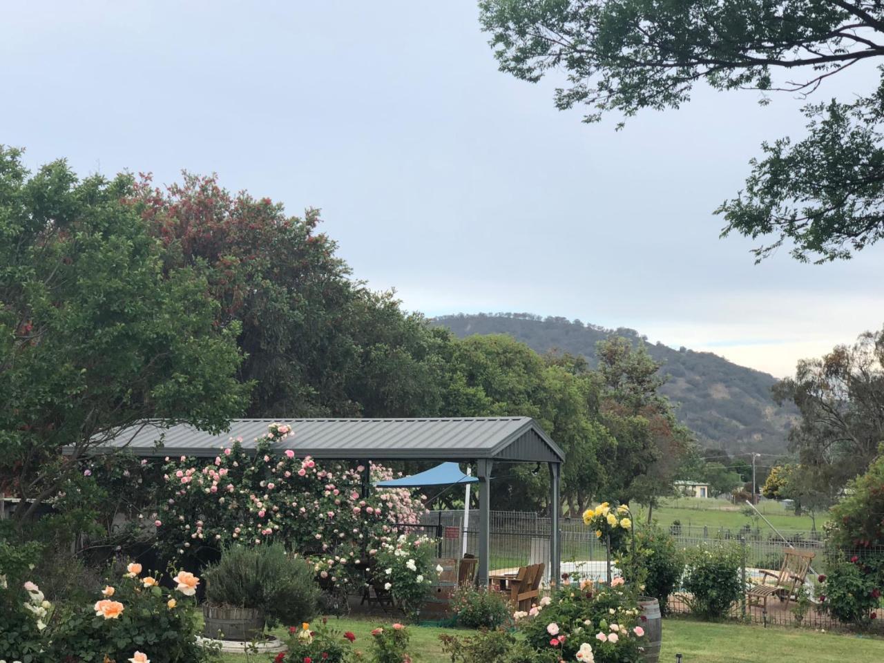 Murrurundi Valley View Motel المظهر الخارجي الصورة